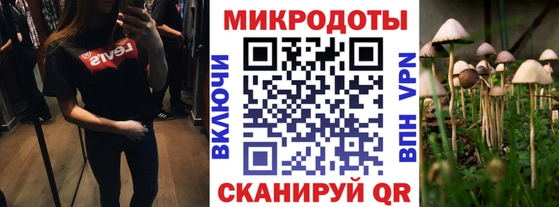 Галлюциногенные грибы GOLDEN TEACHER Купить где Дмитровск